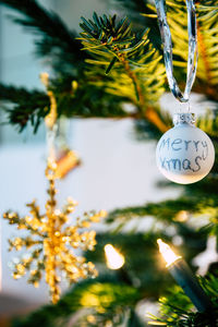 Close-up of christmas decoration hanging on tree