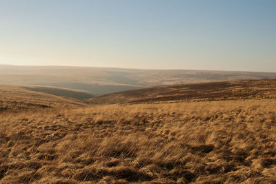 Scenic view of landscape against clear sky