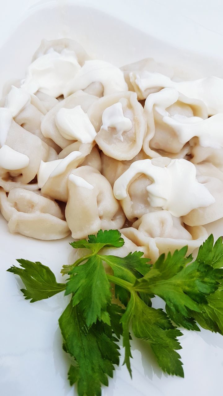 HIGH ANGLE VIEW OF CHOPPED VEGETABLES IN PLATE