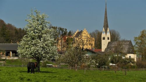 Panoramic view of a temple