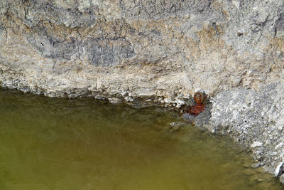 Scenic view of rock formation in water