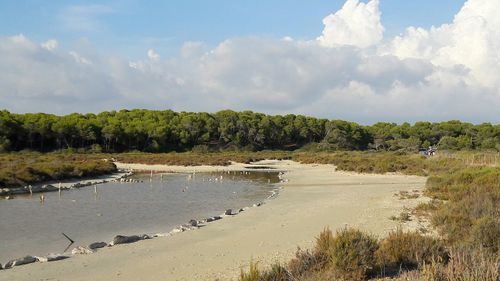 Scenic view of beach against sky