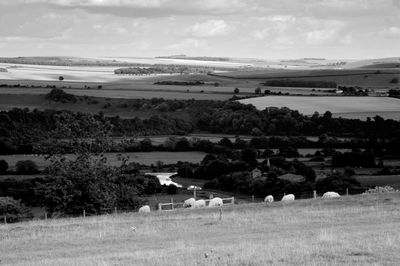 Scenic view of field against sky