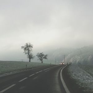 Country road along trees