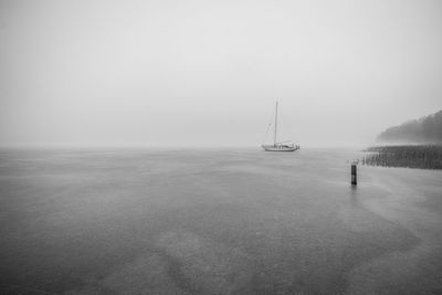 Sailboat sailing on sea against sky