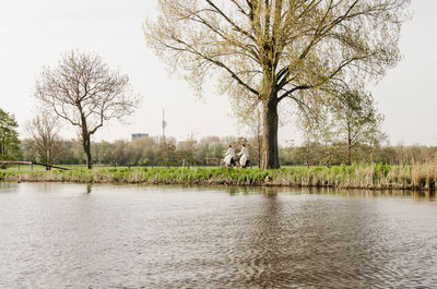 View of a lake