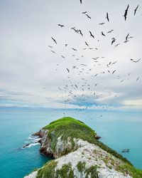 Flock of birds flying over island amidst sea against sky