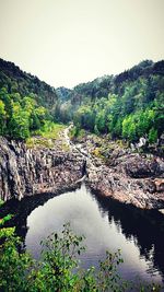 Scenic view of river