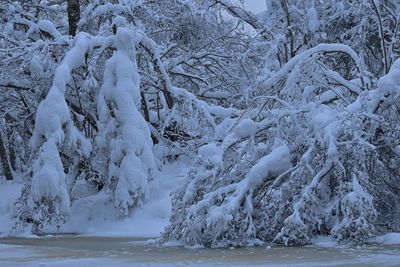 Snow covered land