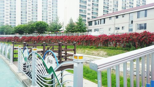 Plants growing by railing against buildings in city