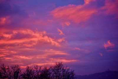 Low angle view of silhouette trees against dramatic sky