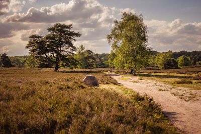 Hay bales on field against sky