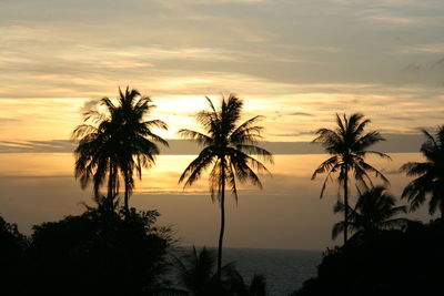 Silhouette palm trees against sea during sunset