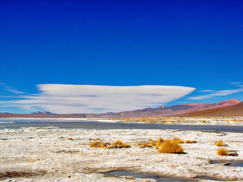 Scenic view of desert against sky