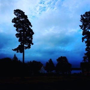 Low angle view of silhouette trees on field against sky