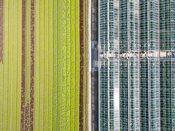 Full frame shot of building