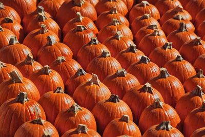 Full frame shot of orange pumpkins in market during autumn