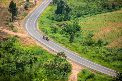 Car on road amidst trees