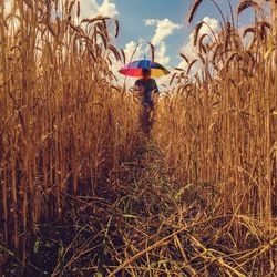 Woman under umbrella standing on wheat field