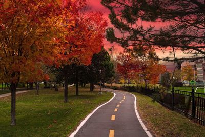 Road amidst trees against sky during autumn