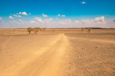 A dirt road amidst acacia trees in the desert at chalbi desert in marsabit county, kenya