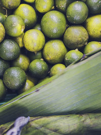 Close-up of lemons