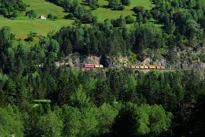 Train running in swiss countryside landscape