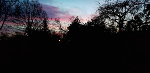 Low angle view of silhouette trees against sky at sunset