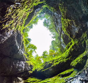 Scenic view of rocks in forest against sky