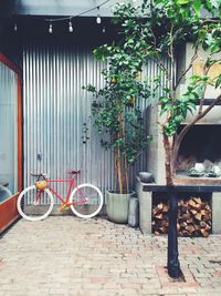 Potted plants in front of building