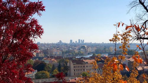 Trees and buildings against sky during autumn