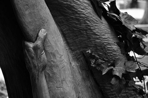wood - material, close-up, leaf, wooden, wood, tree trunk, focus on foreground, day, outdoors, part of, hanging, selective focus, nature, textured, no people, sunlight, cropped, log, plank, tree