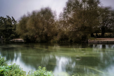 Reflection of trees in calm lake