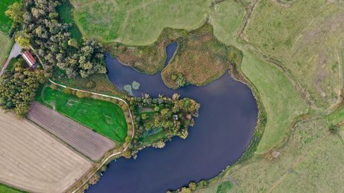 High angle view of trees on field