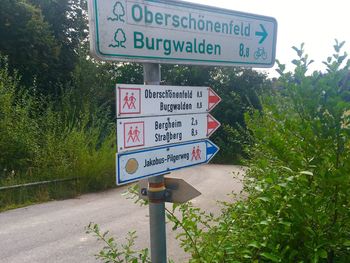 Information sign by road against trees