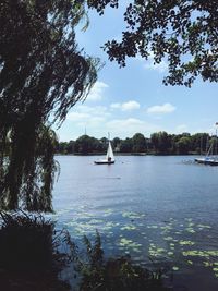 Sailboat sailing on lake against sky