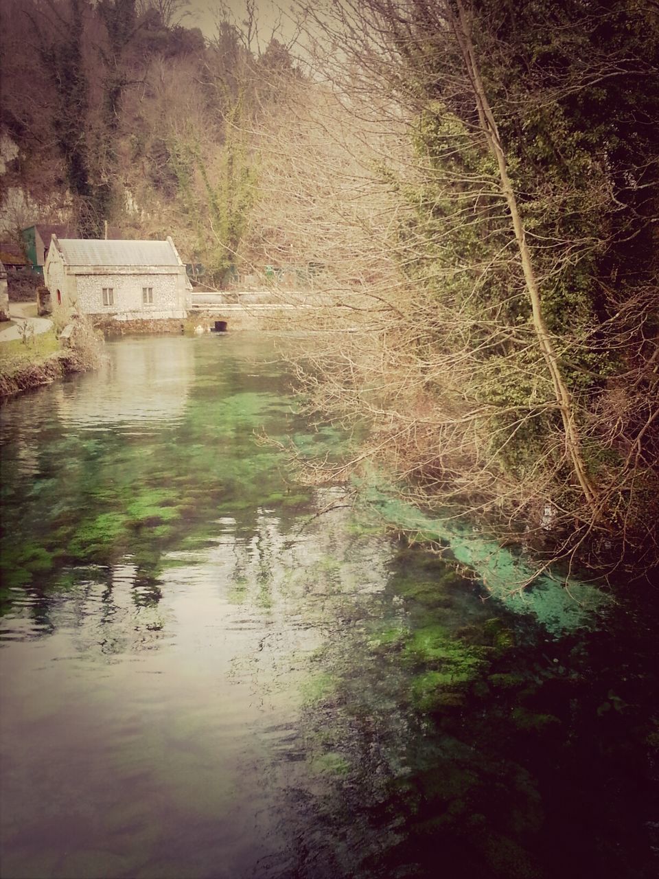 water, reflection, tree, lake, tranquility, nautical vessel, transportation, boat, tranquil scene, nature, river, forest, waterfront, scenics, beauty in nature, mode of transport, day, moored, plant, outdoors