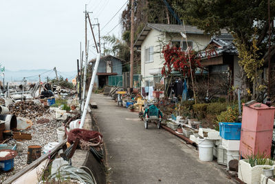 Path  of the  fishing  village 