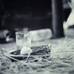 Close-up of food on table