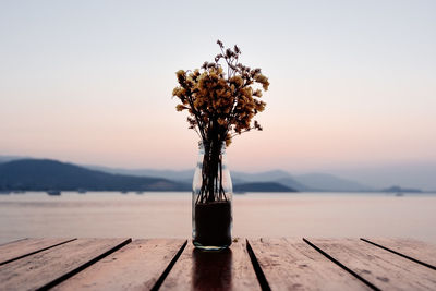 Flowers in vase on pier over sea during sunset