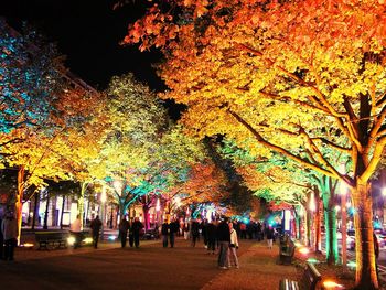 Night view of illuminated city at night