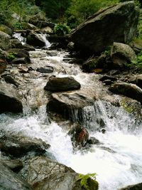 Scenic view of waterfall in forest