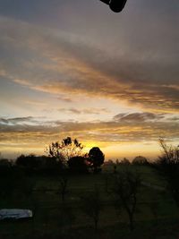 Silhouette trees on field against sky during sunset