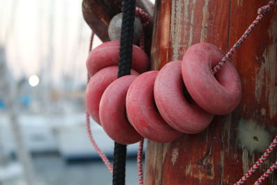 Close-up of buoy hanging against wood 