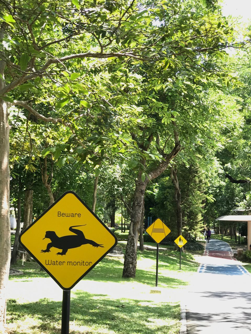 tree, warning sign, yellow, communication, text, safety, day, road sign, outdoors, danger, no people, tree trunk, growth, nature, close-up