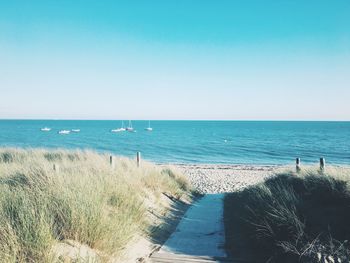 Scenic view of sea against clear blue sky