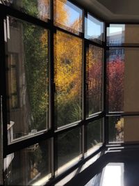 Reflection of trees on glass window of house