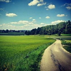 Road passing through field