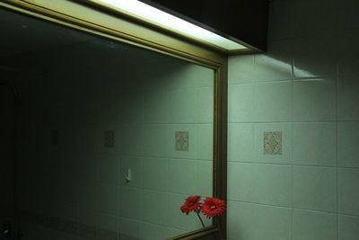 Flowers in bathroom