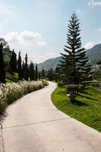 Empty road along plants and mountains against sky